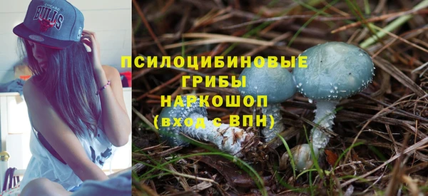 не бодяженный Алексин