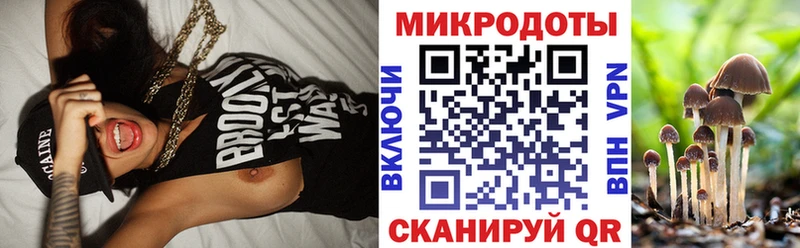 Галлюциногенные грибы GOLDEN TEACHER  купить наркоту  Зверево 